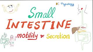 Small Intestine Motility and Secretions  Gastrointestinal GI Physiology Series [upl. by Courtund]