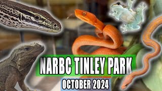 NARBC ST LOUIS REPTILE EXPO November 2022 [upl. by Adnauqahs630]