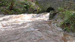 Eldwick Beck  Boxing Day 2015 [upl. by Deehahs]