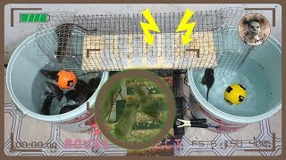 DIY Electric Mouse Trap  How to Catch a Smart Mouse  How to Catch a Rat in Your House [upl. by Christianson]