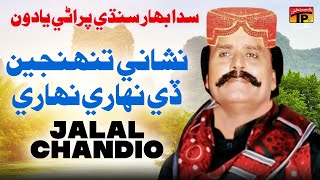 Nishani Tuhnjin De Nihare ihare  Jalal Chandio Raja Rani Jay Dialog Saan Gad  TP Sindhi [upl. by Atinniuq267]