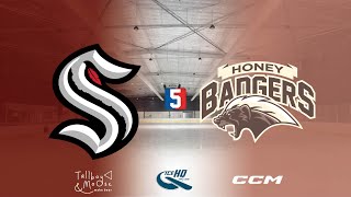 Swoopy Boiz VS Honey Badgers  Div 5  14th November  IceHQ Rec League ice hockey [upl. by Brinna]