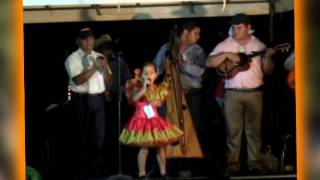 FIESTAS PATRONALES GUASDUALITO 2014 [upl. by Scever164]