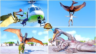 All Flying Reptiles Animations Quetzalcoatlus Pteranodon Dimorphodon 🦖 Jurassic World Evolution 2 [upl. by Sehcaep544]