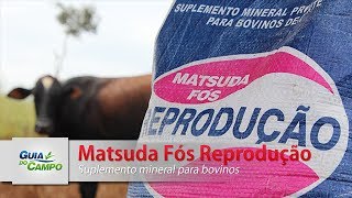 Matsuda Fós Reprodução [upl. by Ahsakat522]