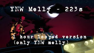 223s but its only YNW Melly for 1 hour [upl. by Novyert]