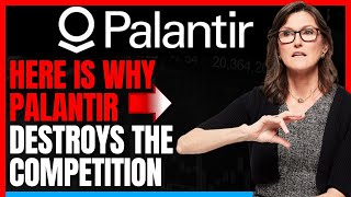 Palantir PLTR Stock Analysis Why It Outshines Other Data Analytics Giants [upl. by Batsheva]