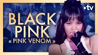 Blackpink quotPink Venomquot ft Gautier Capuçon  Le Gala des Pièces Jaunes [upl. by Attenal]