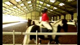 Drill Ride at Trent Park Equestrian Centre [upl. by Ratna]