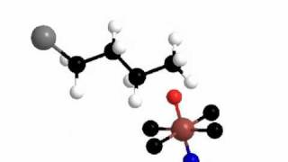 Hydroxylation of An Aliphatic Compound [upl. by Akcira]