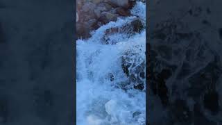 Crossing Heliotrope Creek waterfall pnw nature [upl. by Eiduam]