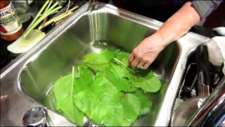 All Natural Homemade Fruit amp Vegetable Wash Recipe [upl. by Laroc]