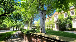 Toorak Suburb Walking Tour St Georges and Albany Road Melbourne Australia 4K [upl. by Naujak]