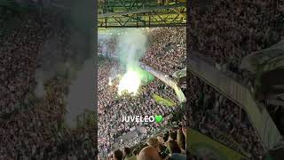 PyroShow SPORTING vs lille Sporting Champions Juveleo pyro [upl. by Sancho]