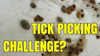 Tick Removal How Many In 30 Minutes [upl. by Roselin]