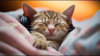 MUSICOTHÉRAPIE Apaisante Pour Chats  Douce Musique Pour Dormir Et Calmer Leur Anxiété cats chaton [upl. by Katlin]