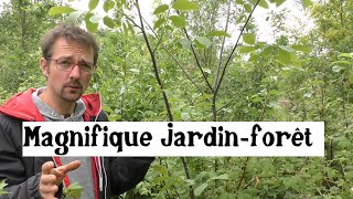 Visite dun jardin forêt comestible [upl. by Jessalyn65]