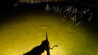 Fish HUNTING for Big Fish with a BLOWGUN Fishing Rod [upl. by Mcgaw73]