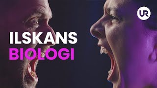 Ilskans biologi  Sverige forskar [upl. by Alda]