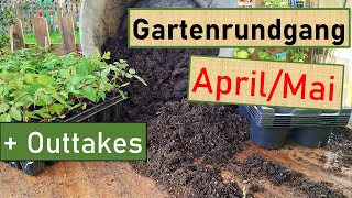 Gartenrundgang AprilMai 🌱 Schulgarten 😃 Tomaten umtopfen 🍅 Kartoffeln legen 🥔 Salat pflanzen 🥬 uvm [upl. by Assirek]