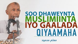 Soo Dhaweynta Muslimiinta iyo Gaalada Maalinta Qiyaamaha  Macalin Maxamuud [upl. by Ciri]