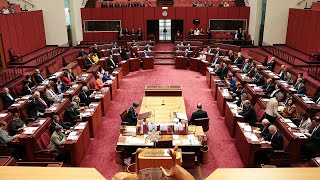 ‘It’s too crazy’ Labor’s misinformation legislation ‘won’t pass’ the Senate [upl. by Atinek]