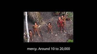 The Uncontacted Tribes of the Amazon Amazon Tribe [upl. by Dusty]