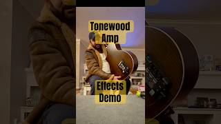 Tonewood Amp Demo tonewoodamp acoustic guitar [upl. by Xella]