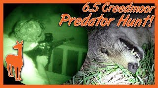 Night Vision Coyote Hunt 65 Creedmoor and Night Optics Marauder D750 [upl. by Caprice948]