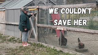 We KNEW this Day would come  Homesteading OffGrid in Maine [upl. by Rubia735]