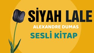 Siyah LaleAlexandre DumasSesli Kitap seslikitap kitapdinleroman tarih [upl. by Sined]