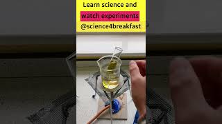 Testing a Leaf for Starch gcsescience biology science scienceteacher [upl. by Nimad]