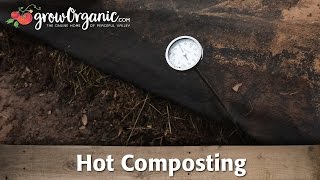 What Is Hot Composting and How To Use It In Your Garden [upl. by Redan]