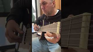 Study in E minor Tárrega 🎶🎶🎸 [upl. by Burkle286]