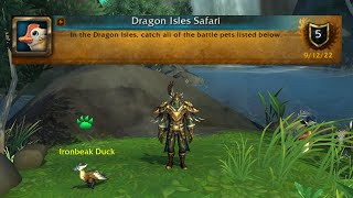 Dragon Isles Safari  achievement  all pets in one video  for more information read description [upl. by Eixel]