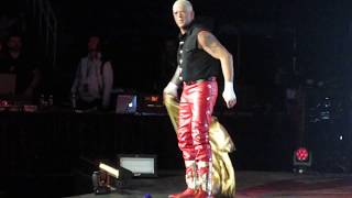 quotThe Naturalquot Dustin Rhodes Entrance Starrcade 2017 [upl. by Lorrimer]