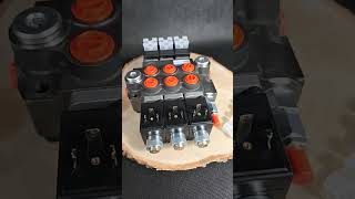 A CLEVER SOLUTION DIRECTIONAL CONTROL VALVE 3SPOOL 50 LMIN 13GPM 12VDC  CONTROL PANEL [upl. by Liborio303]