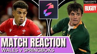 Wales v Springboks Reaction  Autumn Nations Series Rugby  2024 [upl. by Chlores]