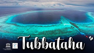 TUBBATAHA The Crown Jewel of the Philippines [upl. by Oahc346]