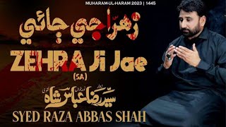 New Osara Zahra ji Jae Syed Raza Abbas Shah Naqvi 2023 [upl. by Avi]