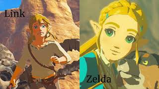 Breath of the Wild BOTW Speedrunning [upl. by Wolford]