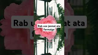 Tab use jannat ata farmai ga 💯💯💯 Islamic video islamic stutas ❤️❤️ [upl. by Beaver]