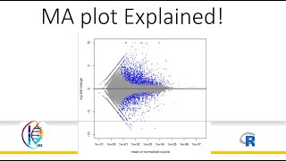 MA plot Explained RNAseq data analysis [upl. by Nica]