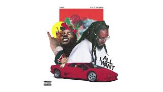 TPain  All I Want ft Flipp Dinero Official Audio [upl. by Einnob]