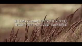 Yenic  quotHei strainoquot Lyrics Video [upl. by Burn]