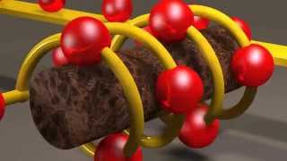 Inductors and Inductance [upl. by Richer]