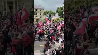 Tens of Thousands of People Protest Against Treaty Bill Outside New Zealand Parliament [upl. by Naux483]