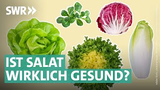 Gartensalate Bittersalate amp Co – das steckt wirklich drin  Marktcheck SWR [upl. by Aynav494]