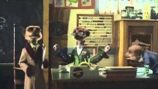 New Compare the Meerkat Advert  Compare The Market Com Funny Advert  Simples [upl. by Nepets635]