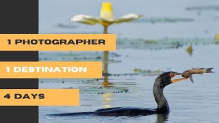 1 Destination 1 Photographer 4 Days  Chobe National Park [upl. by Flower160]